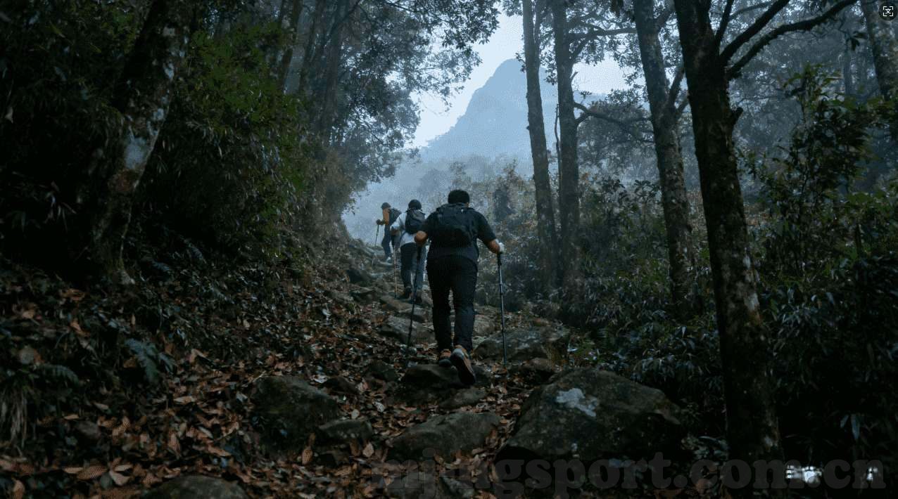 壹号娱乐注册入口-探索壹号娱乐，注册入口全解析与体验指南-壹号娱乐注册入口